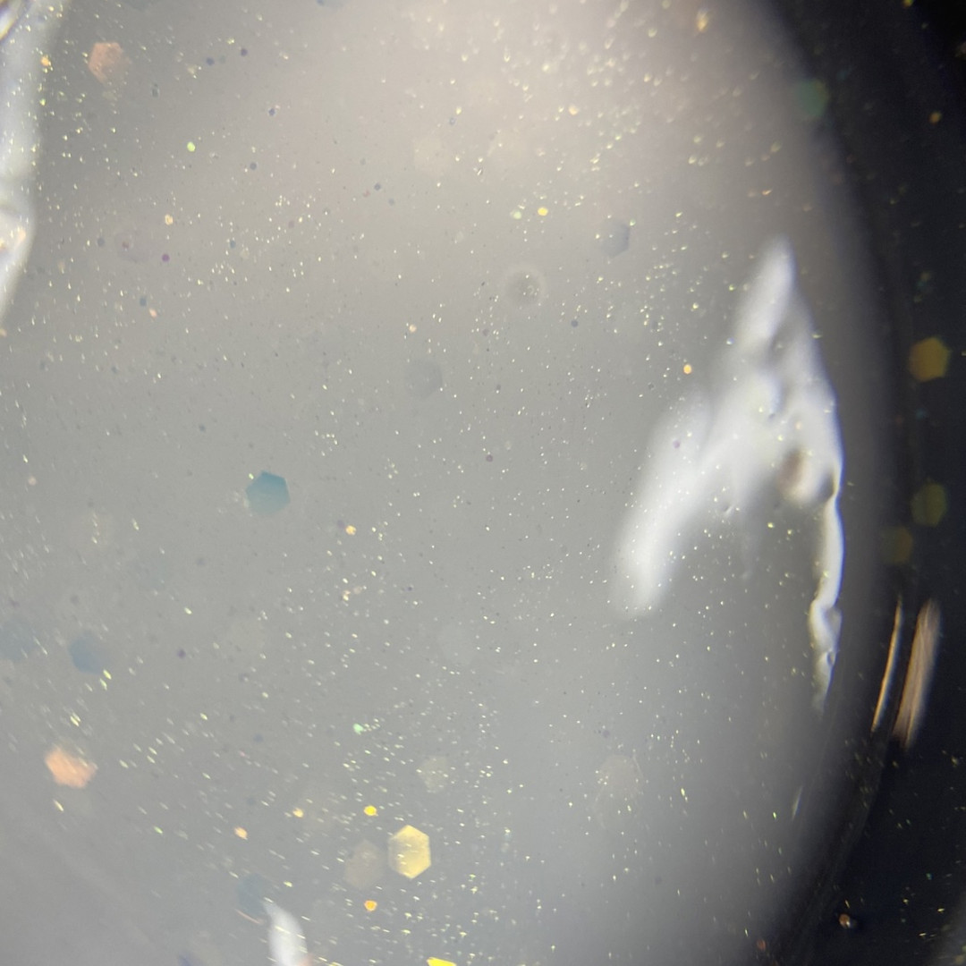 CELEBRATE GEL 01 15gr