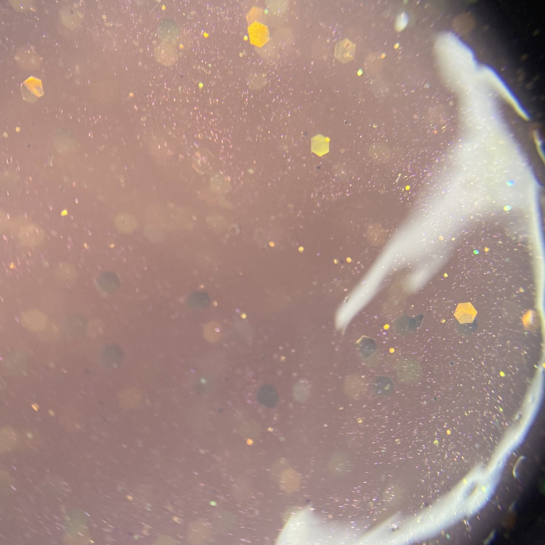 CELEBRATE GEL 03 15gr