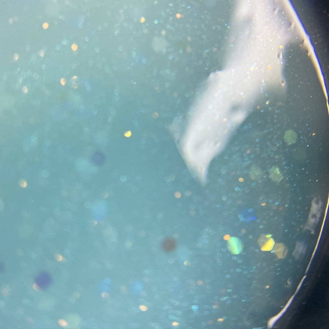 CELEBRATE GEL 06 15gr