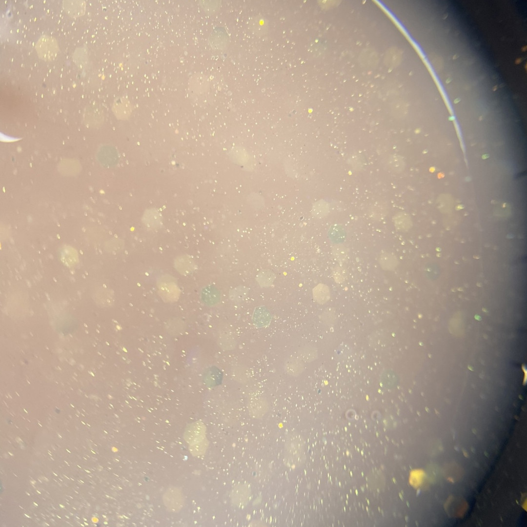 CELEBRATE GEL 02 30gr