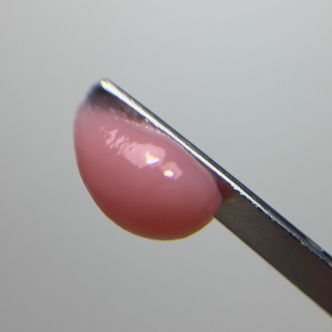 AcrylGel BISCUIT 30gr