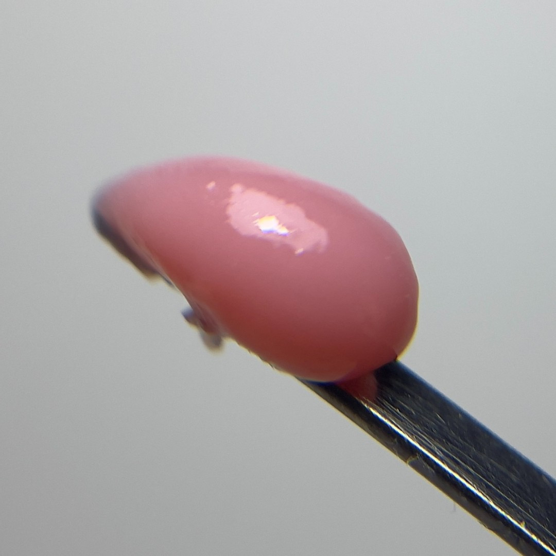 AcrylGel BISCUIT 30gr