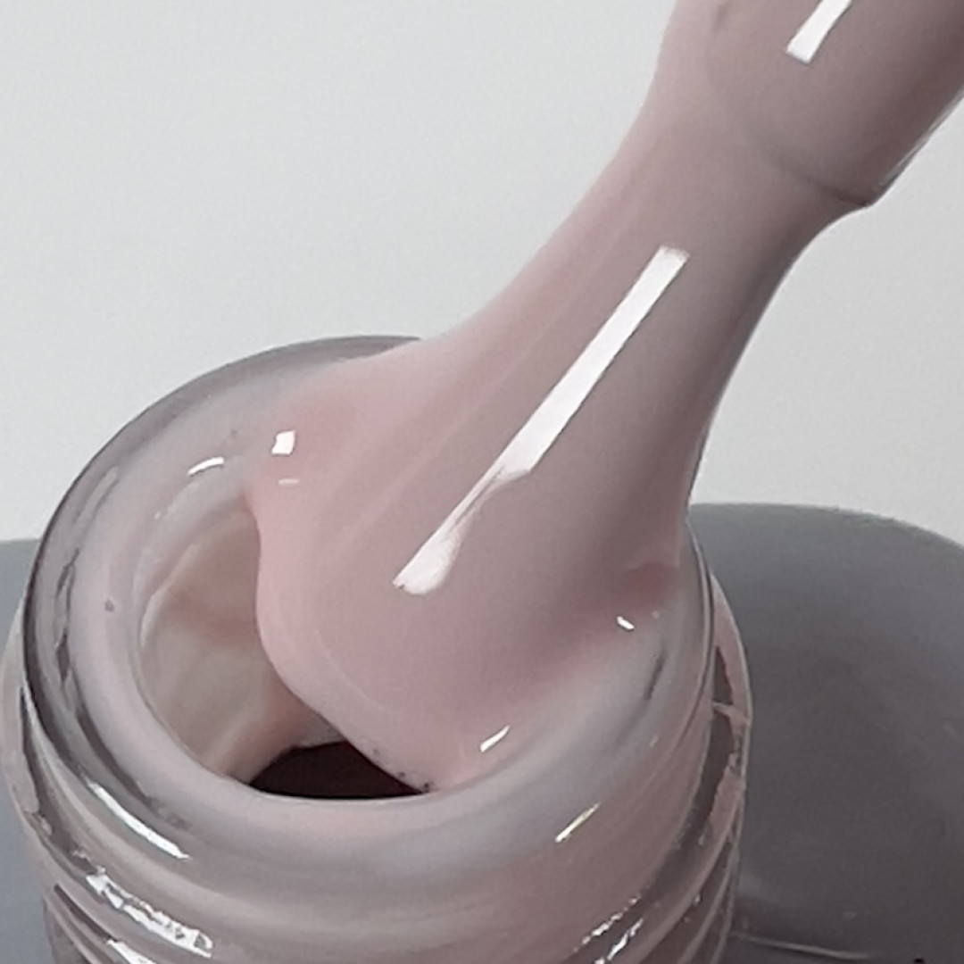 Gel polish PROVANCE 05 8ml