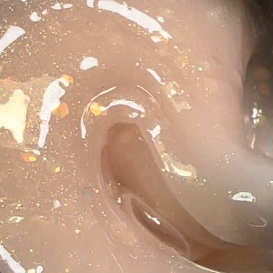 CELEBRATE GEL 02 30gr